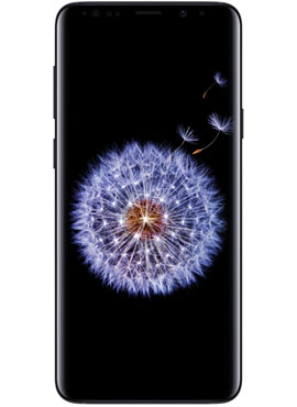 image for this item